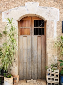A rustic wooden door set within a stone archway, surrounded by textured stone walls. Two large potted plants with long leaves flank the door, adding greenery to the setting. The door features vertical wooden panels and small barred windows at the top.