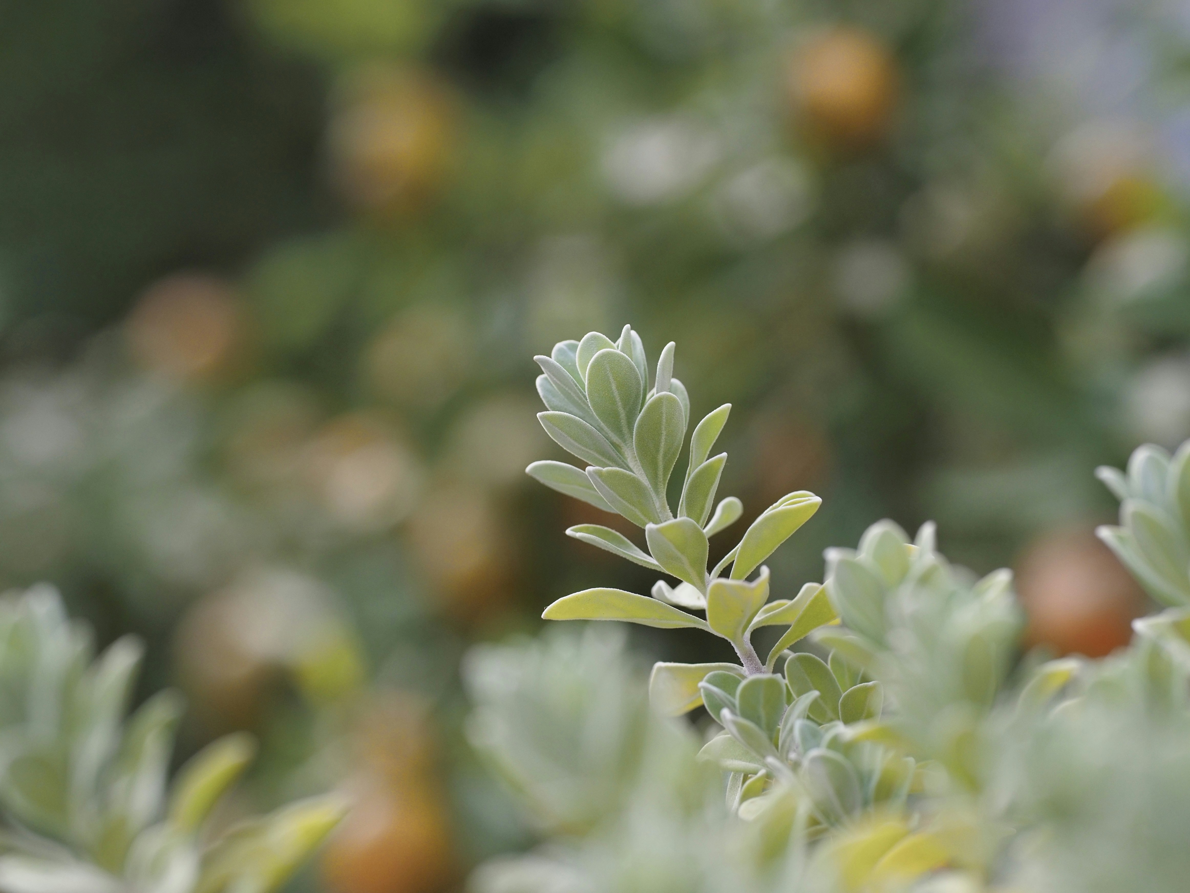 Photo by atthanonphu