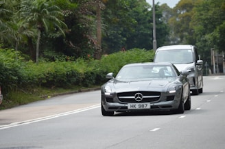 Two cars drive on a road bordered by lush greenery. The foreground features a silver Mercedes-Benz with license plate HK 987, while a larger silver vehicle follows behind. The lush vegetation and trees frame the scene, imparting a sense of motion within a serene natural setting. A lamppost and subtle signs are visible in the background.