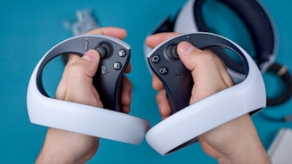 a person holding a video game controller in their hands