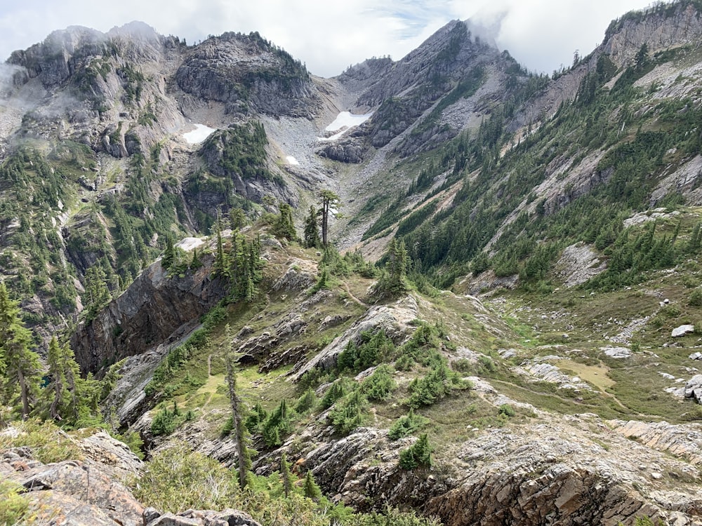 a man standing on top of a mountain next to a lush green forest