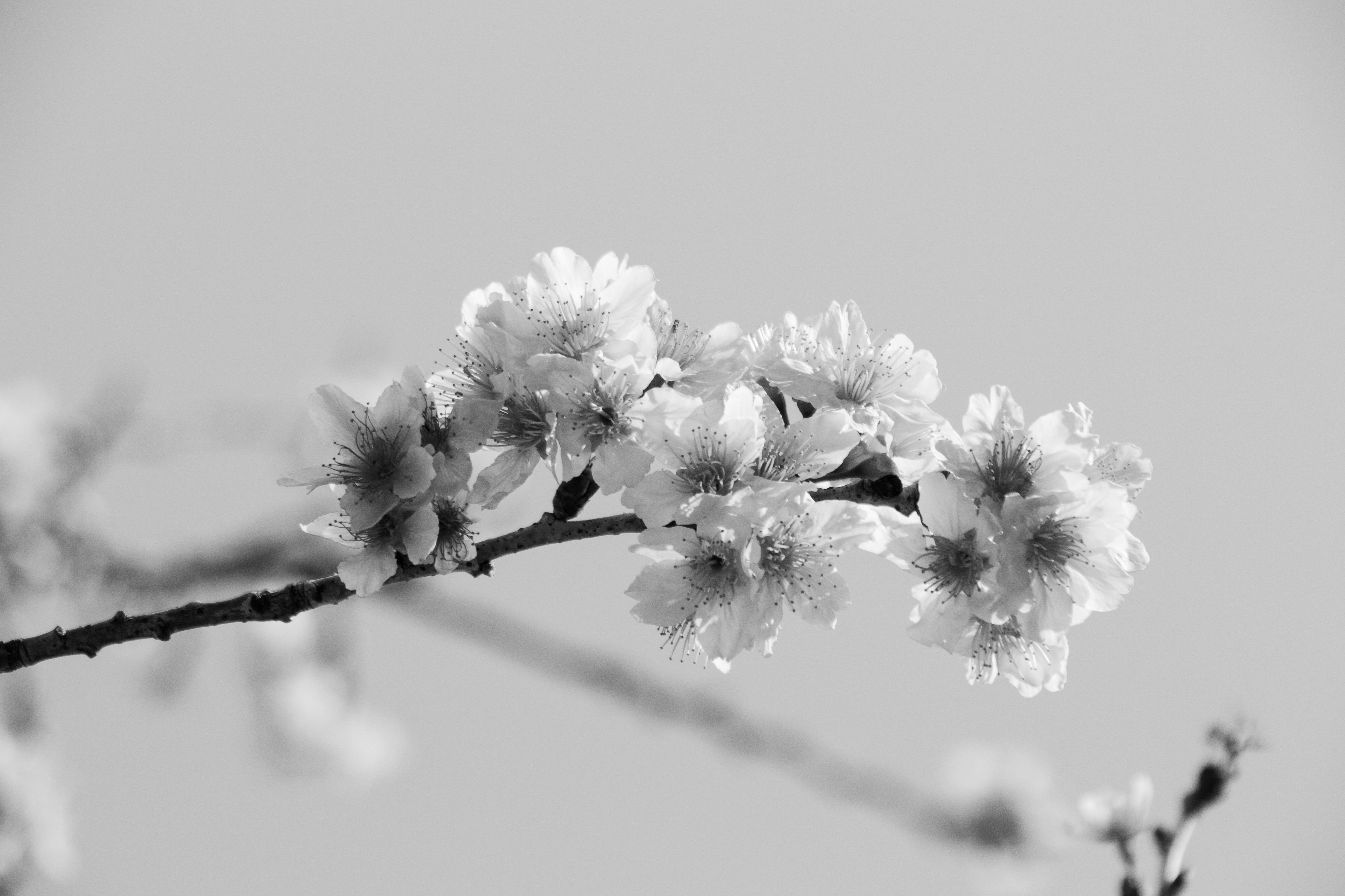 Photo by fredwong113