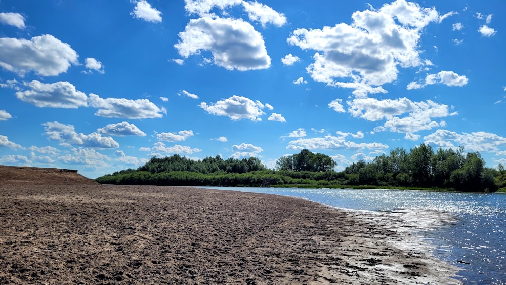 a body of water sitting next to a lush green forest