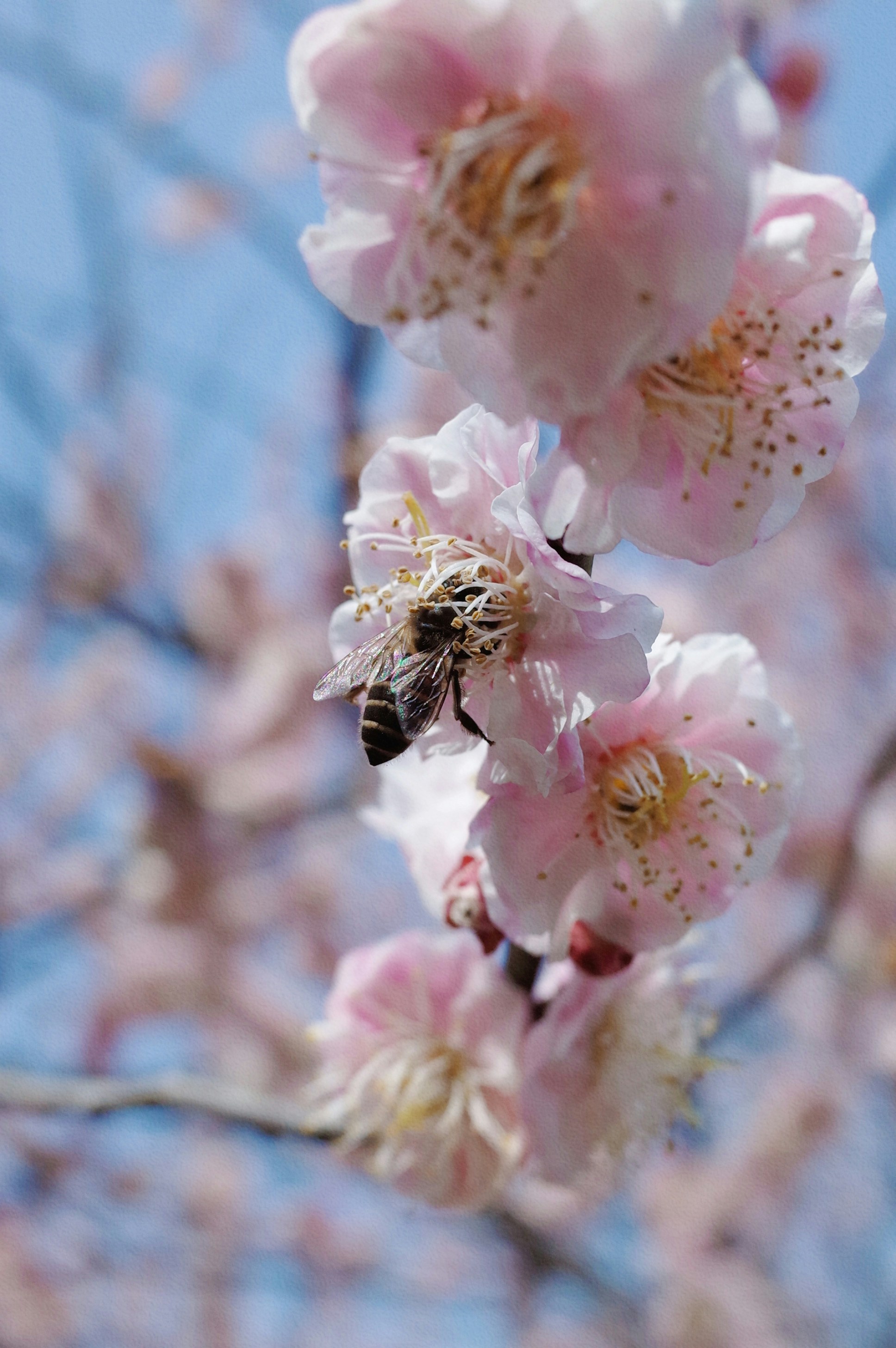 Photo by haibxidncuvsy