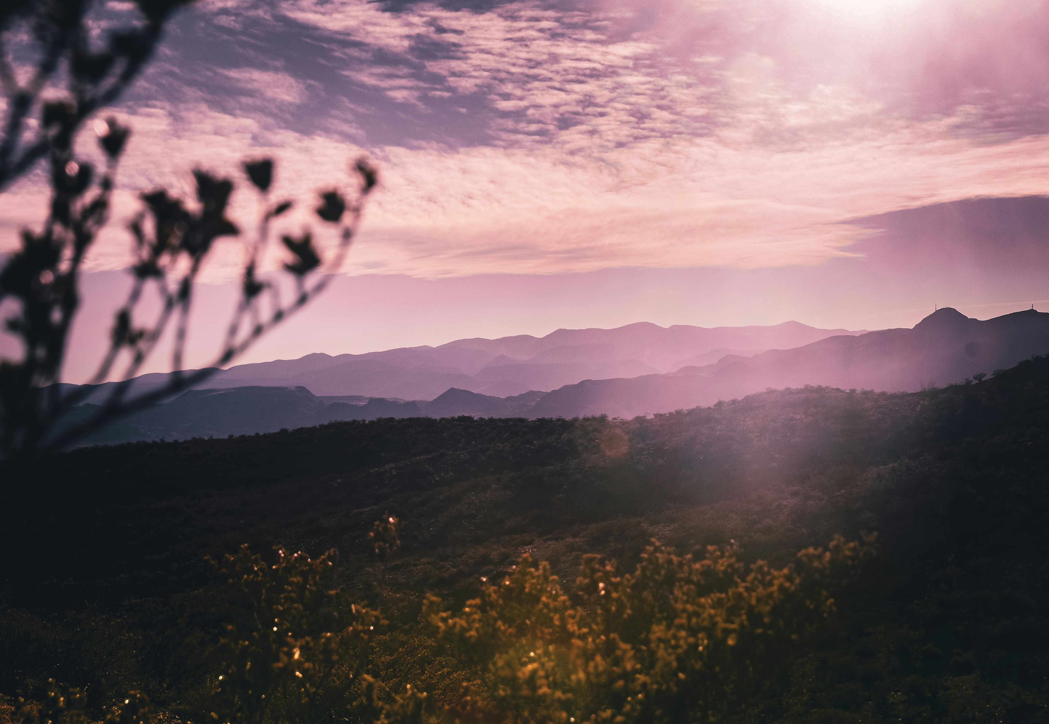 Photo by scottelkins