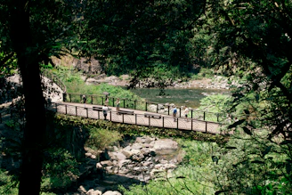 Pilgrims crossing a quaint wooden bridge over a gentle river, surrounded by lush greenery.