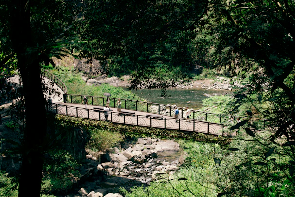 Pilgrims crossing a quaint wooden bridge over a gentle river, surrounded by lush greenery.