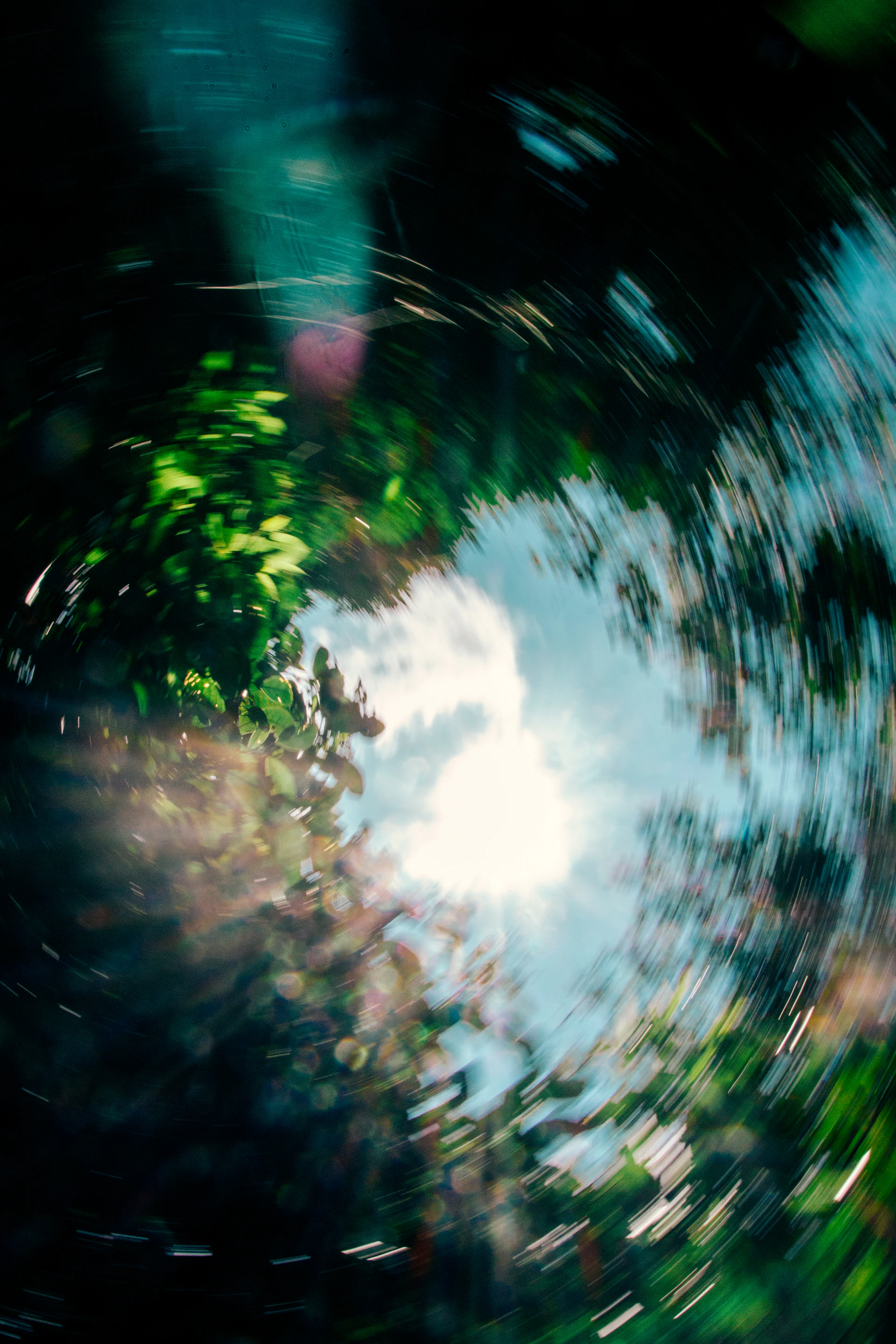 a view of the sky through a circular lens