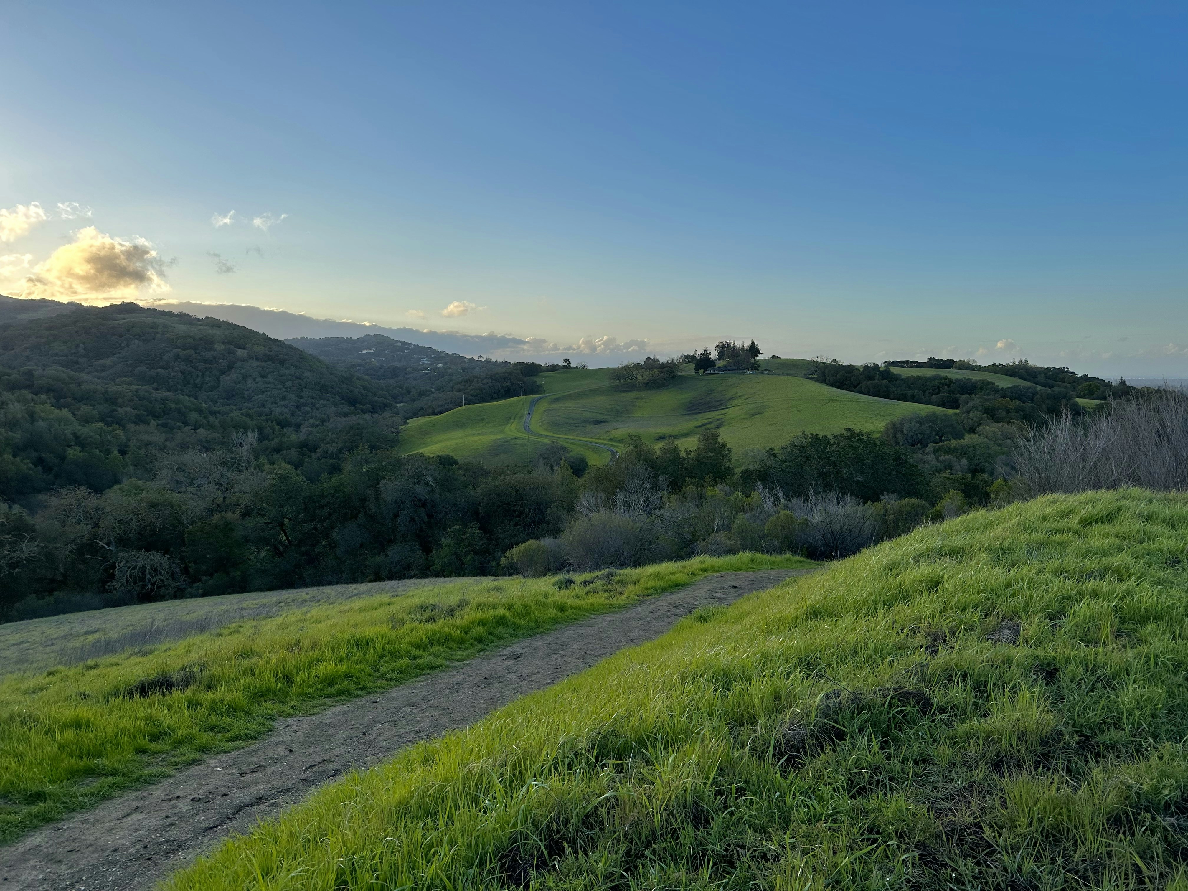 Top 5 Dog-Friendly Places to Get Outside This Weekend in Los Altos and Palo Alto