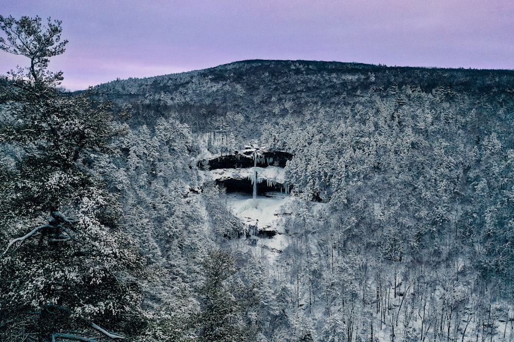 a snow covered mountain with trees on the side