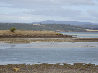 A serene coastal landscape painted with rich textures and natural pigments.