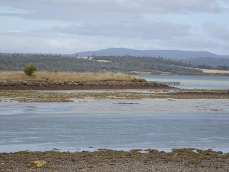 A serene coastal landscape painted with rich textures and natural pigments.