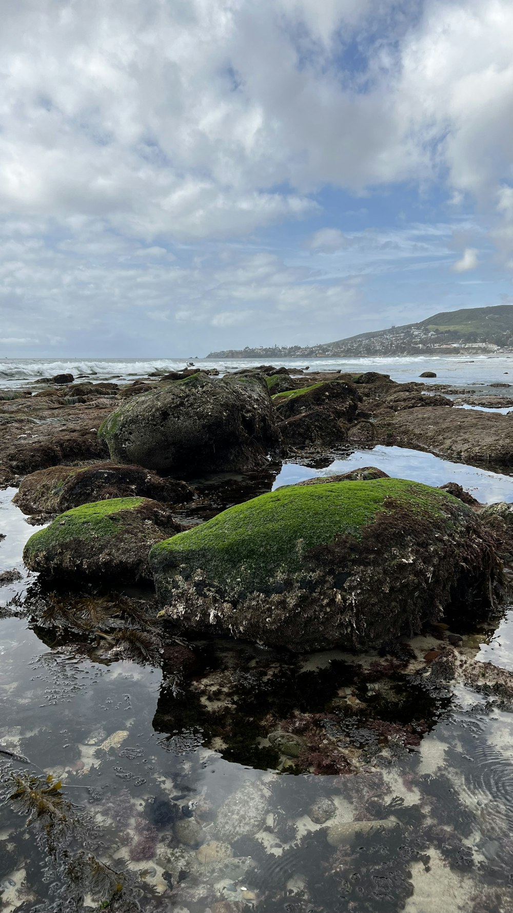 a rock covered in green moss on a beach
