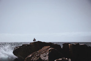 The animated boy sitting on a beach rock, writing stories as seagulls fly overhead against a bright blue sky.
