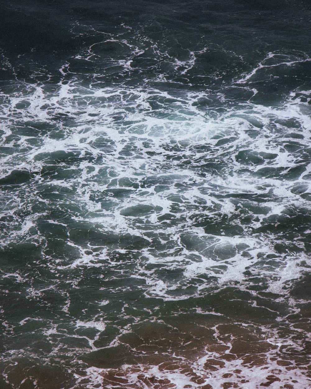 a bird flying over a body of water