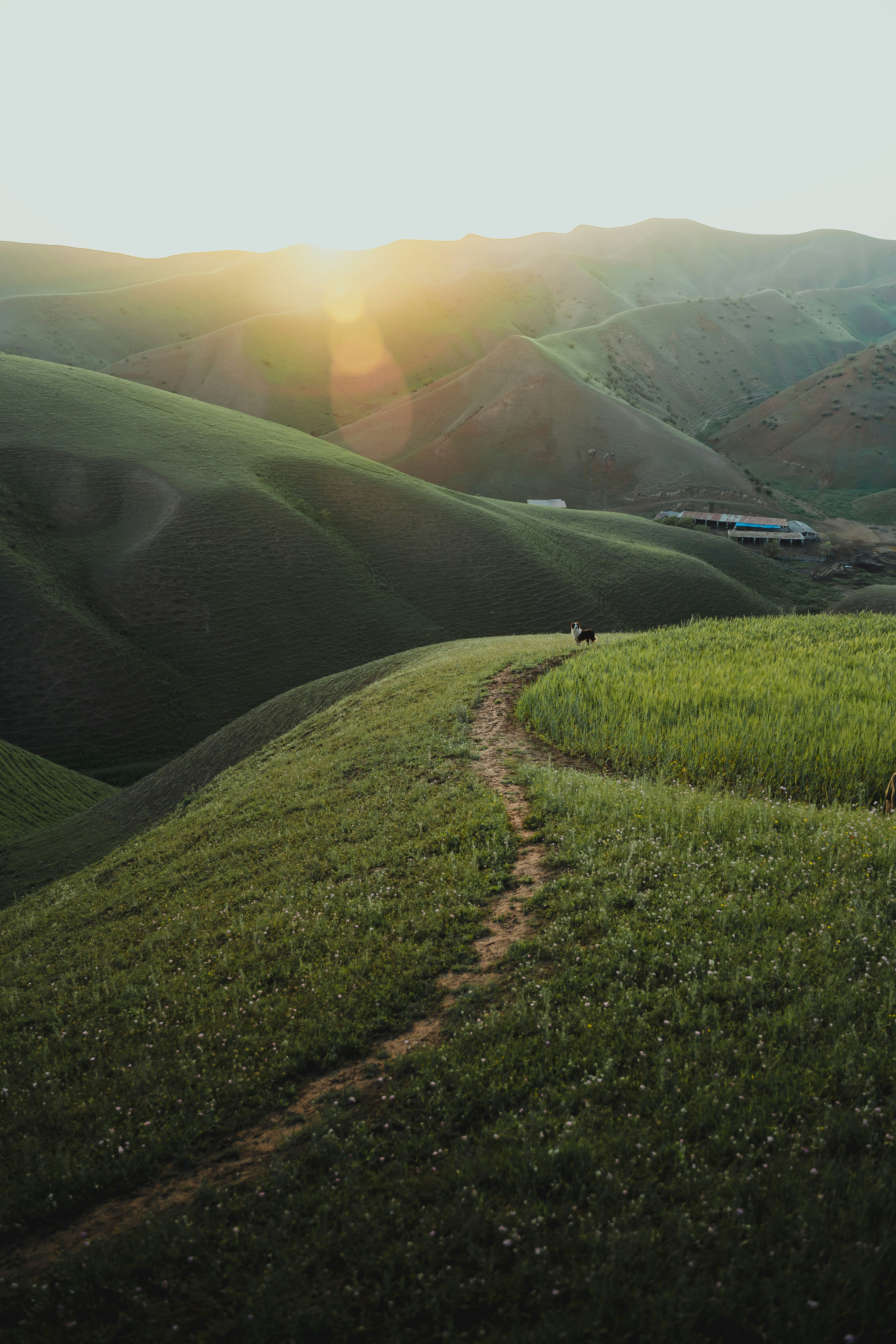 Turub Termoz471 (@turub471) | Komunitas Foto Unsplash