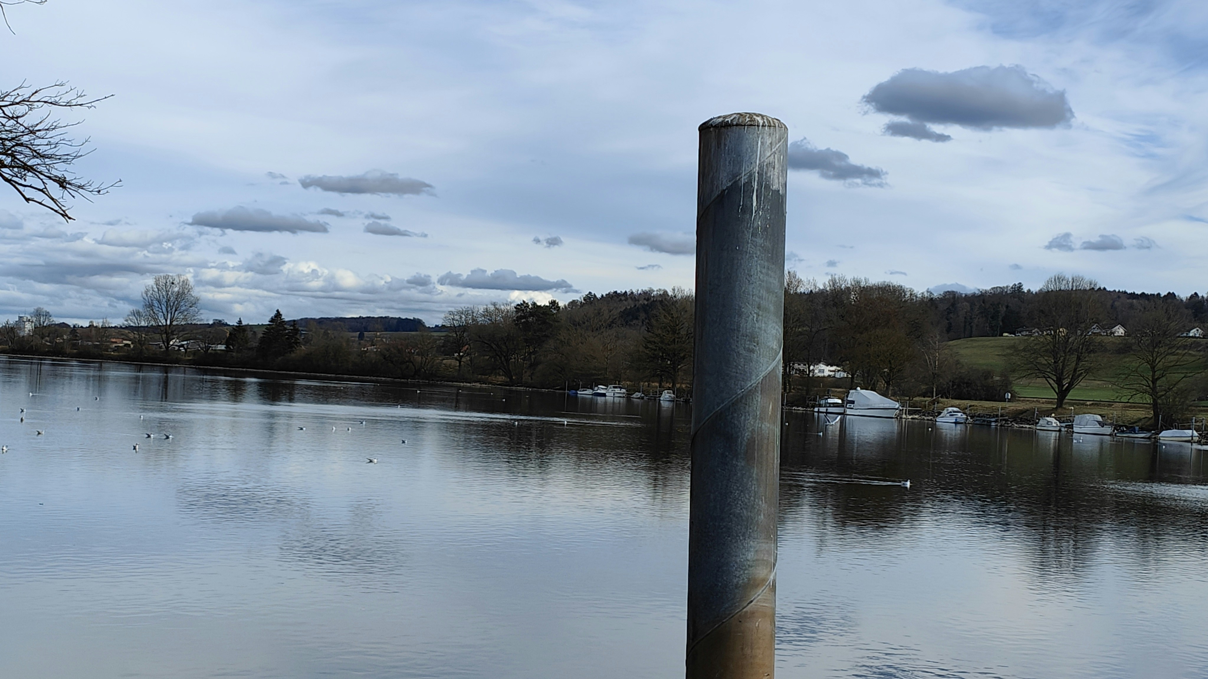 a pole sticking out of a body of water