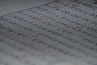A close-up of a linguist reviewing a printed translation with a red pen, highlighting corrections.