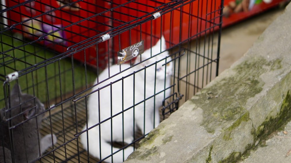 a cage with a bird inside of it