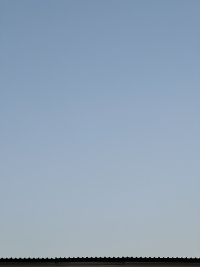 Photo of a skilled roofer repairing a residential roof under a clear blue sky in Garden City.