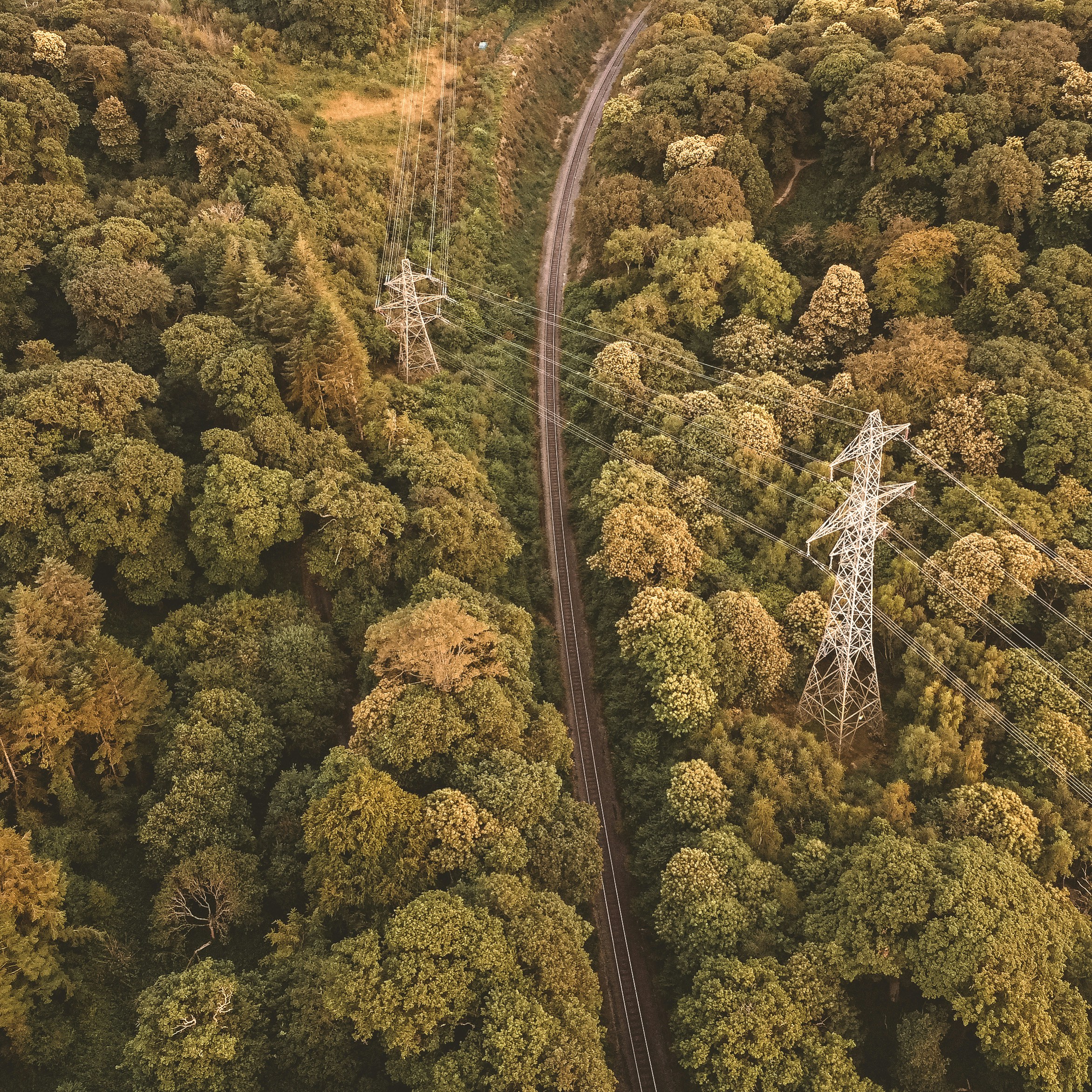 an aerial view of a road in the middle of a forest