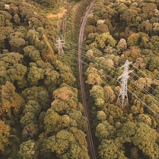 an aerial view of a road in the middle of a forest