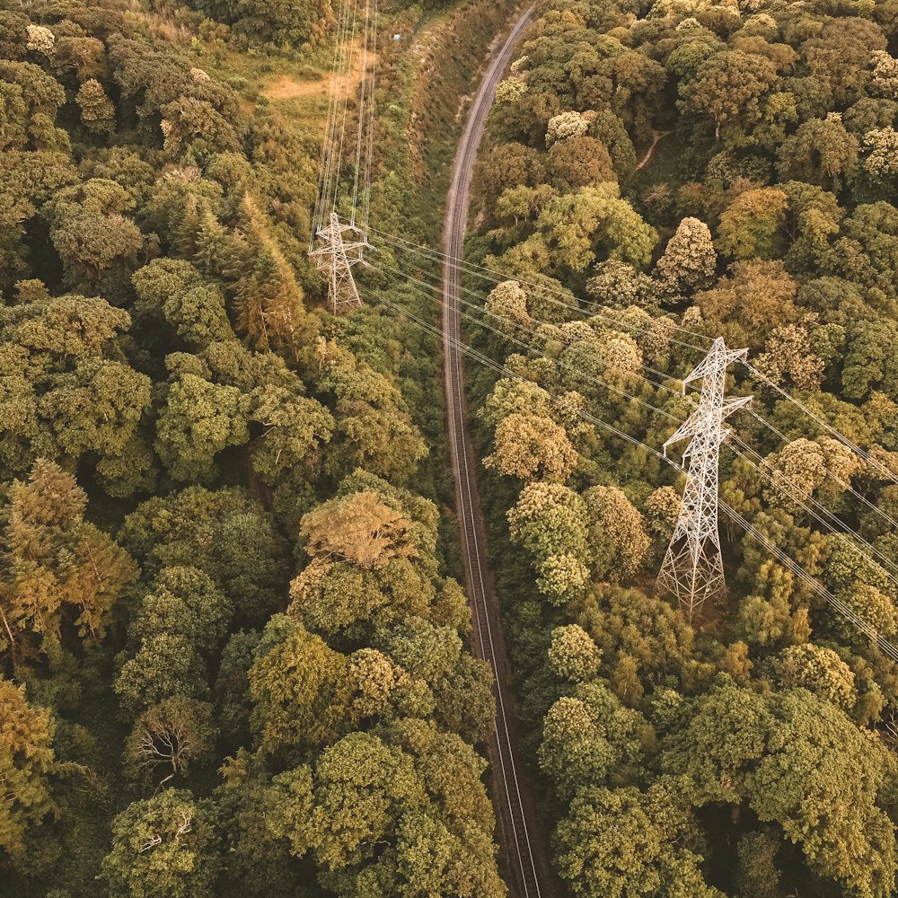 an aerial view of a road in the middle of a forest