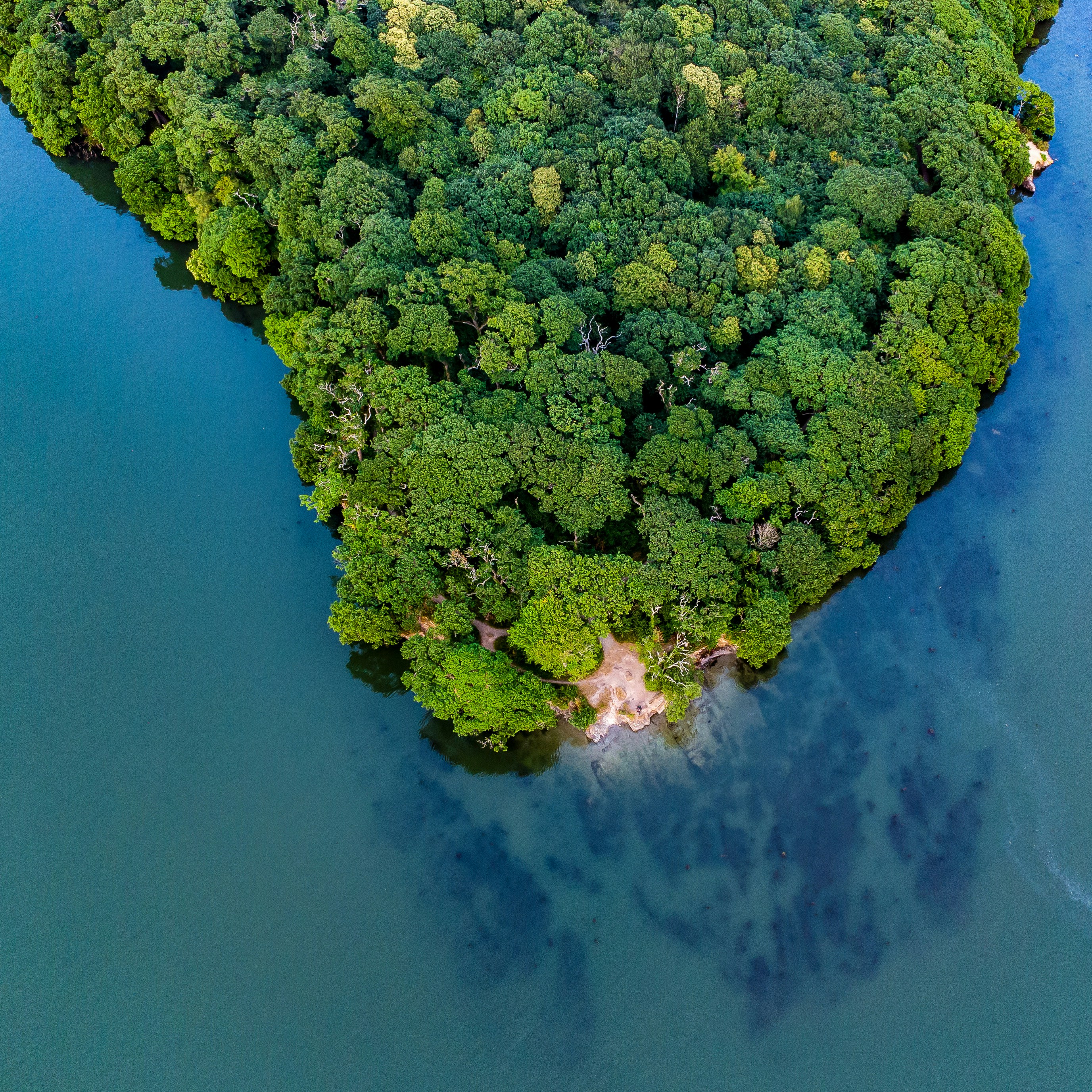 an island in the middle of a lake surrounded by trees