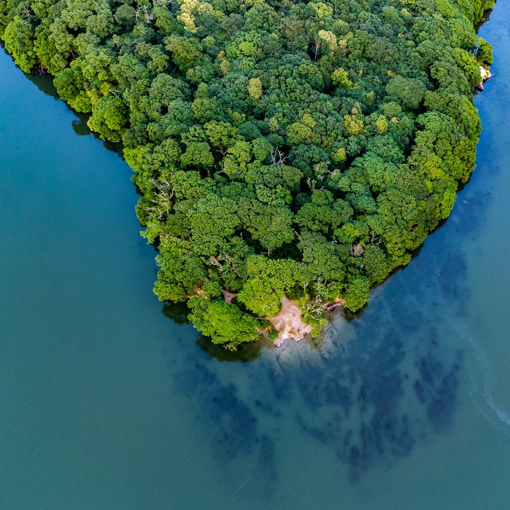 an island in the middle of a lake surrounded by trees