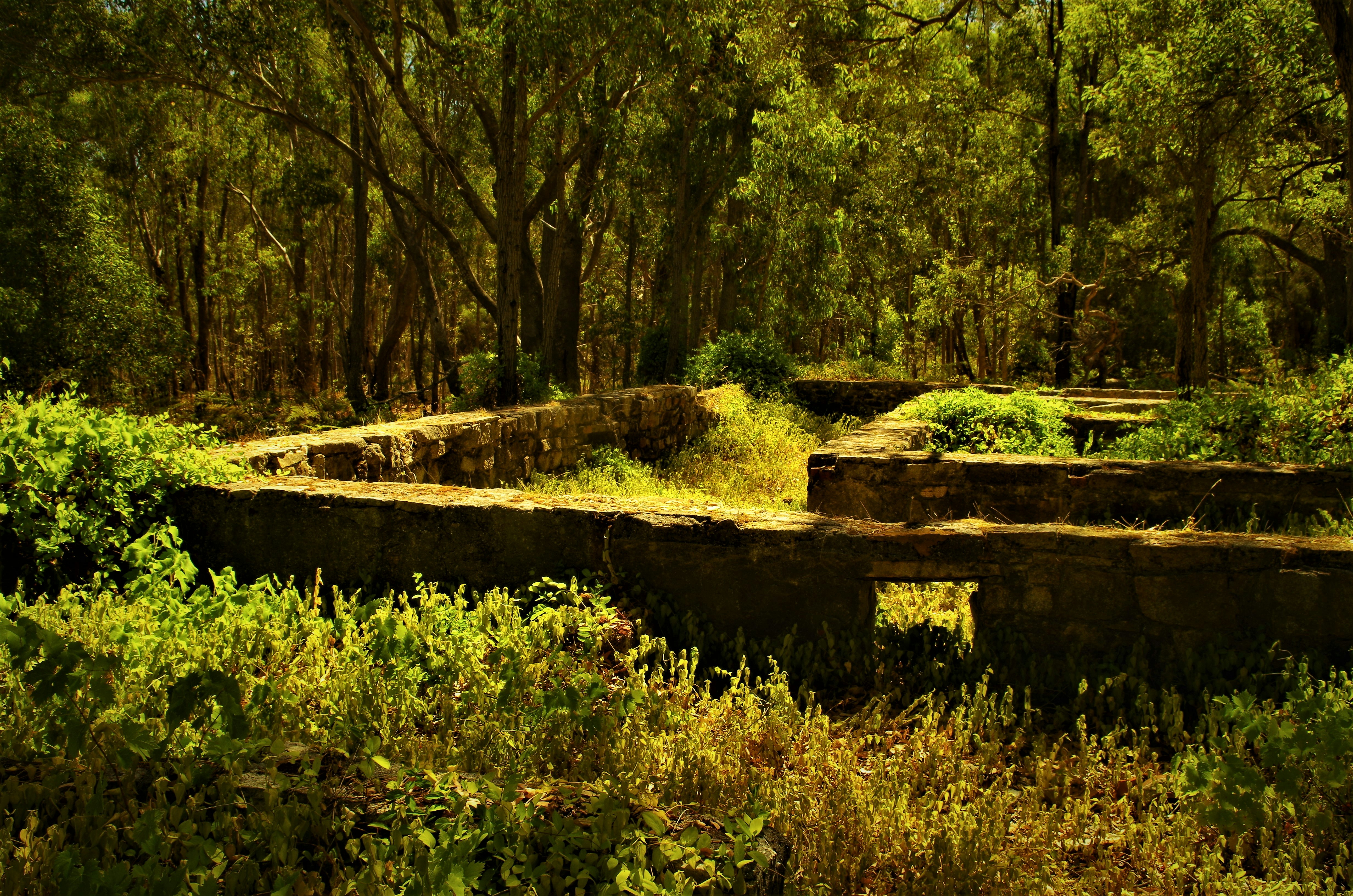 Una estructura de piedra en medio de un bosque