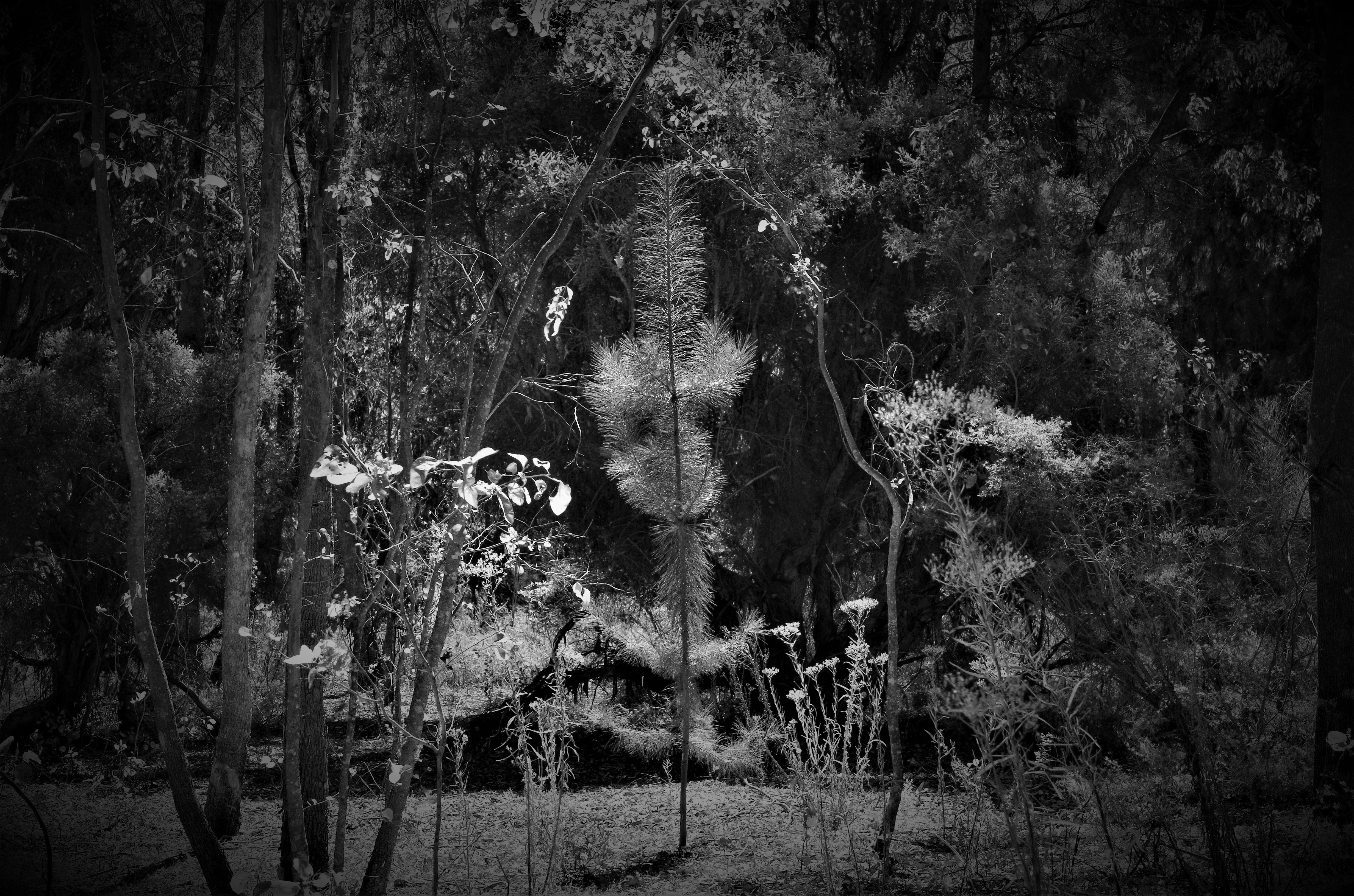 Photo by photoken123