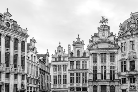 A collection of ornate, historic buildings showcasing intricate architectural details like sculptures and decorative facades. The scene is depicted in black and white, highlighting the textures and symmetry of the structures.