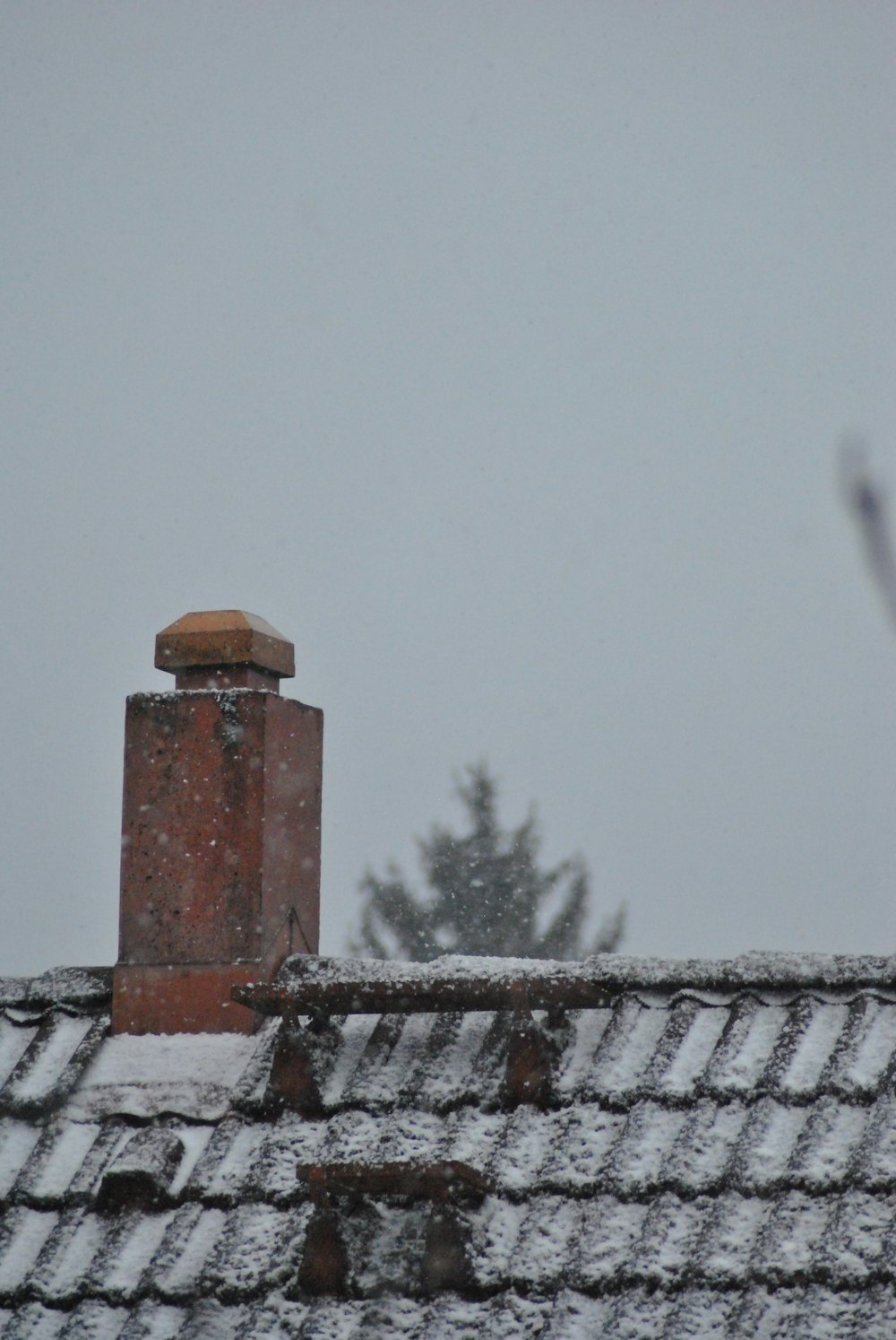 a snow covered roof with a chimney and a tree in the background