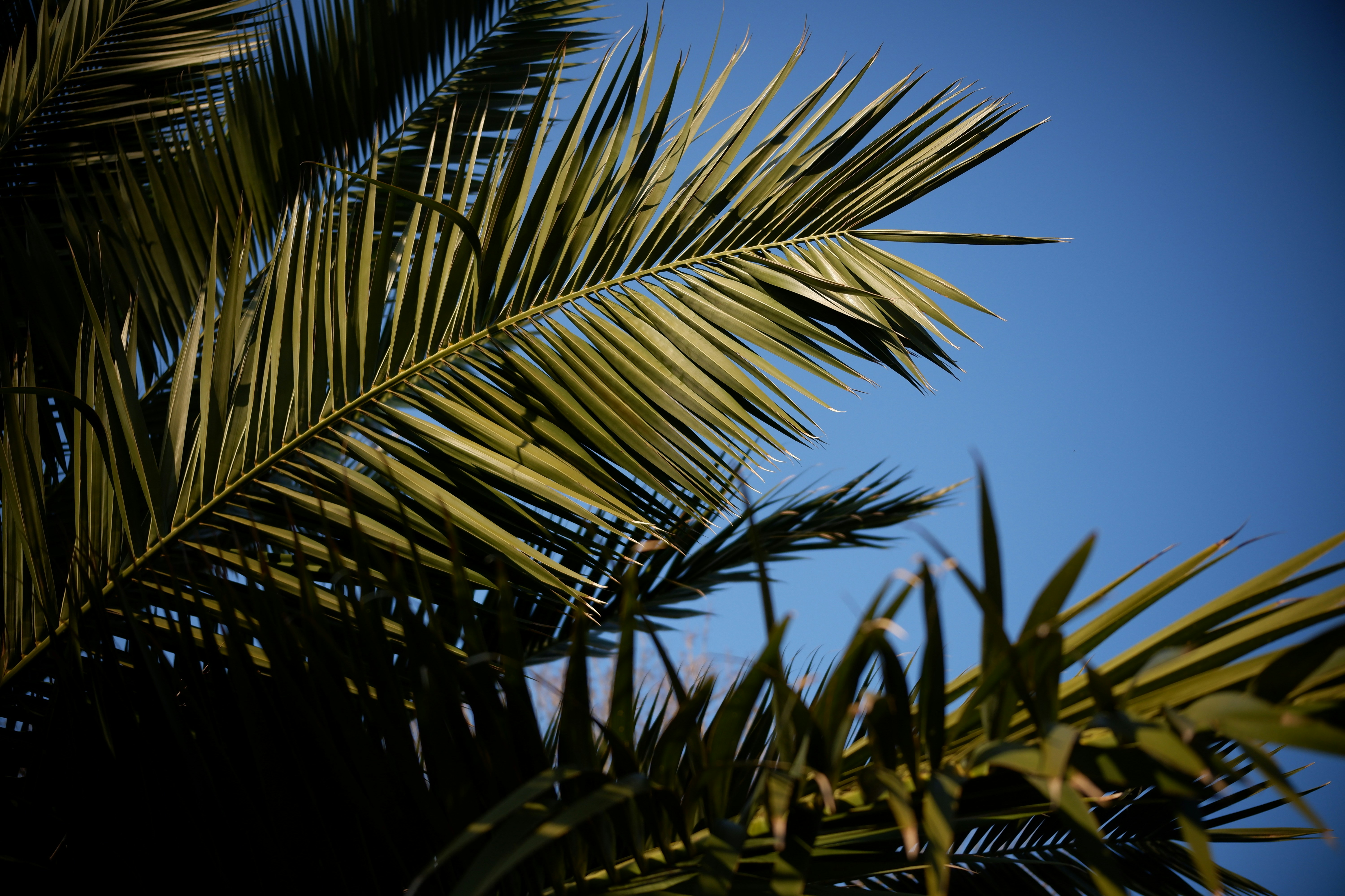 Photo by danielamuntyan