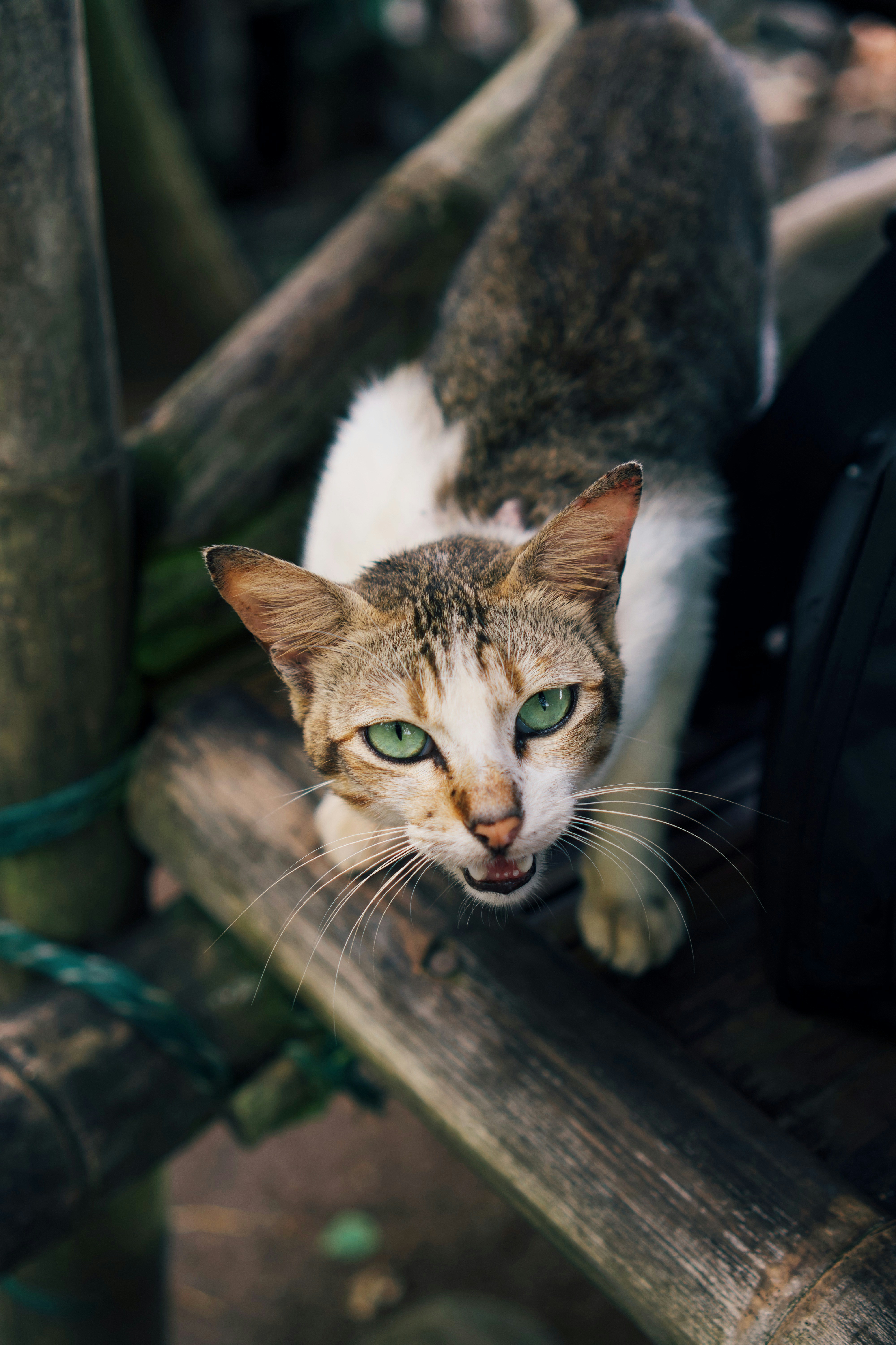 Photo by nazmijavier