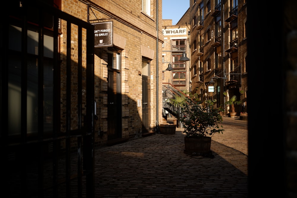 a brick street with a potted plant on the side of it