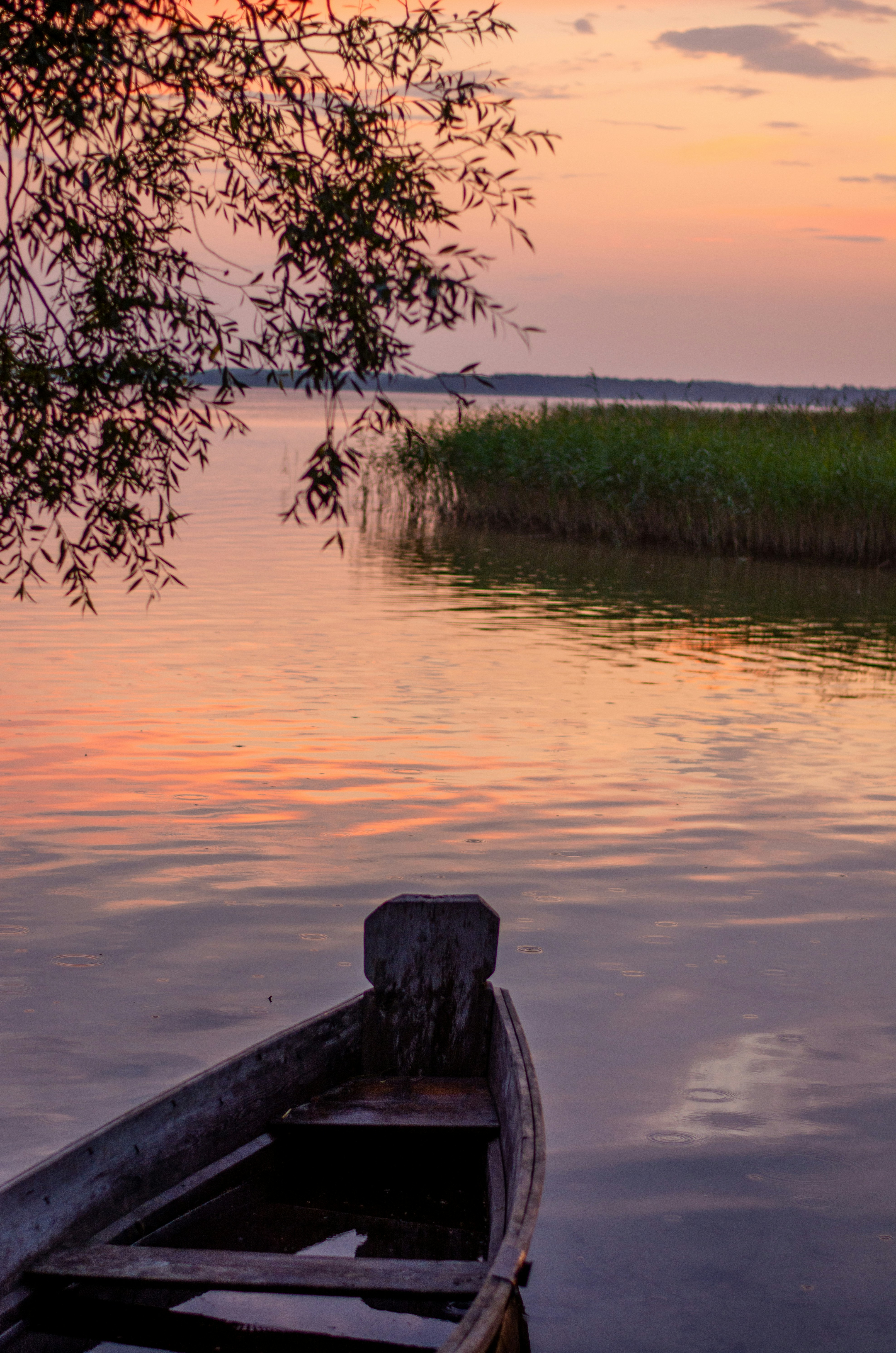 Photo by eugenivy_now