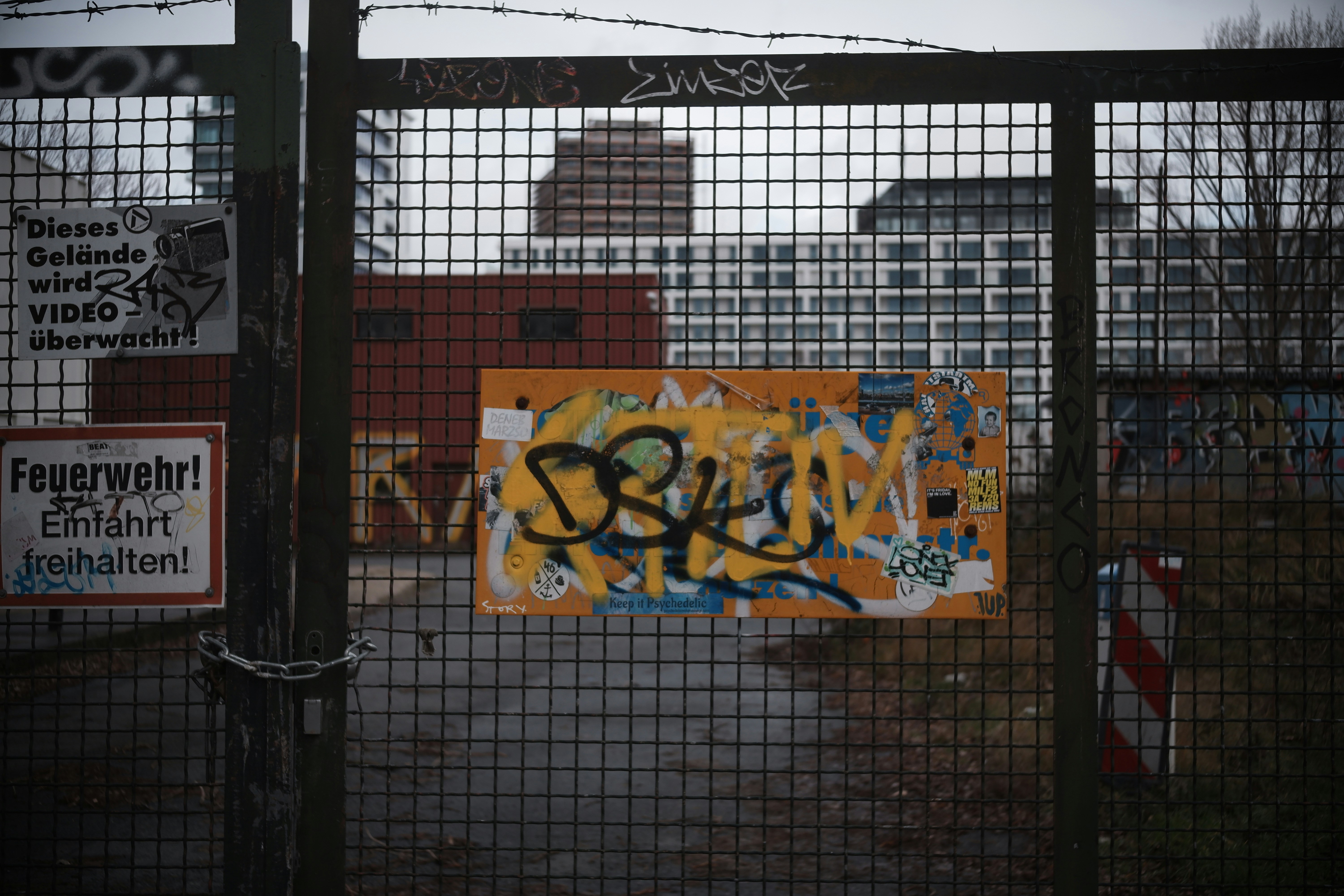 Photo by danielamuntyan