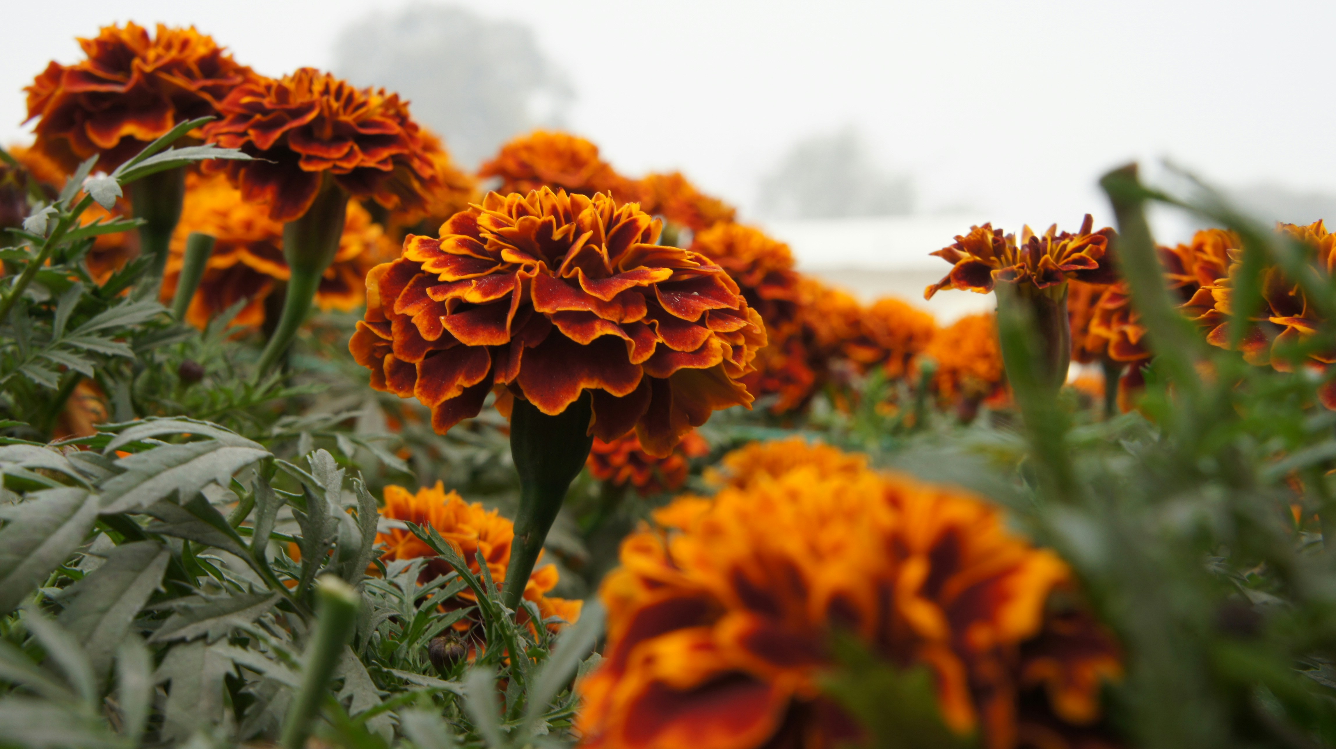 Photo by mariaarshad