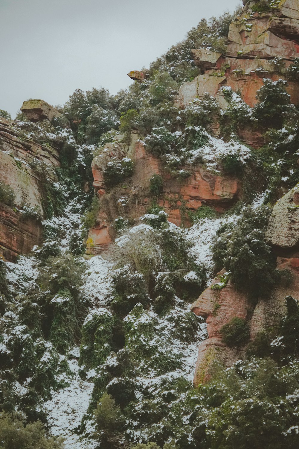 a snow covered mountain side with trees and rocks