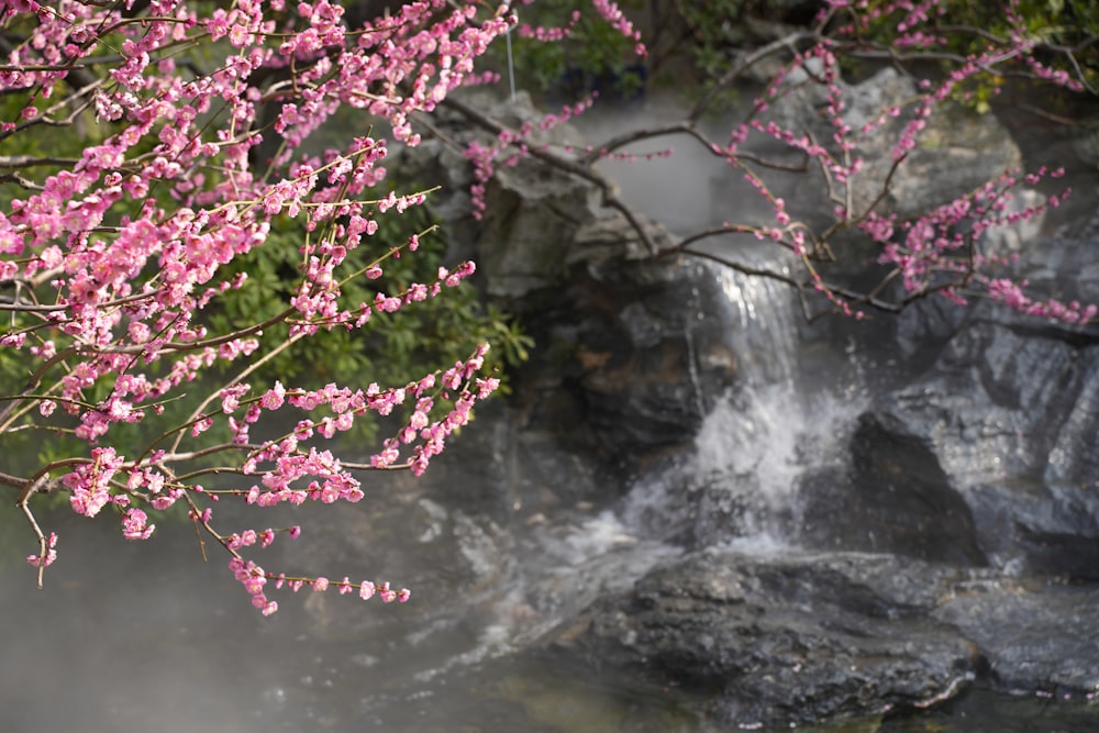 a waterfall with pink flowers in the foreground
