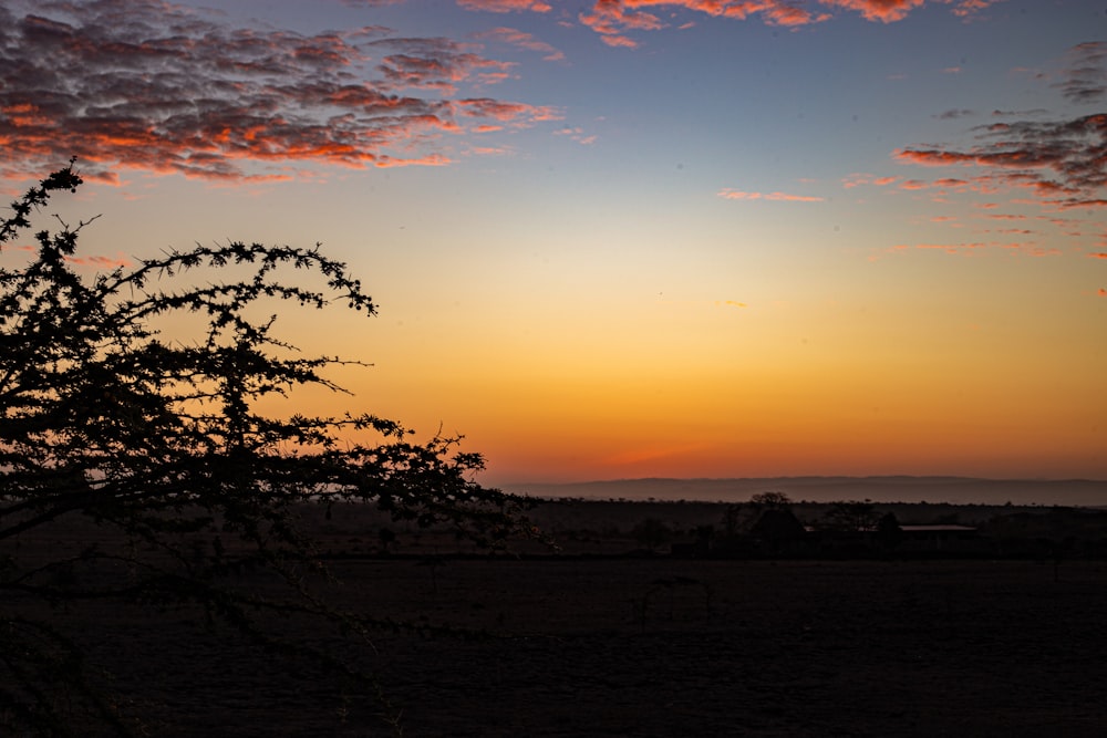 the sun is setting over a field with a tree in the foreground