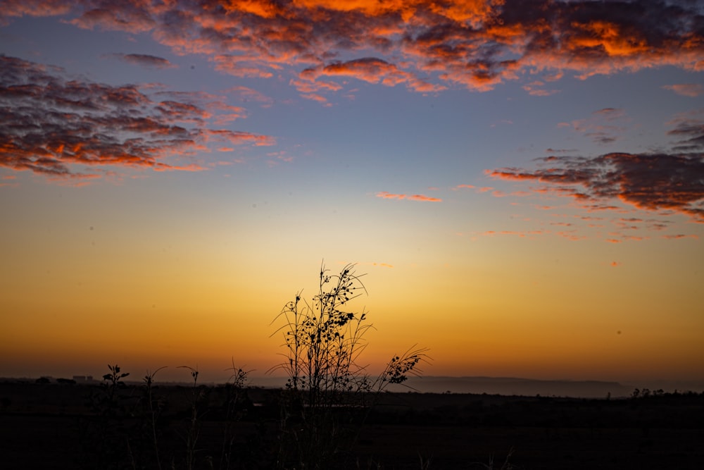 the sun is setting over the horizon of a field