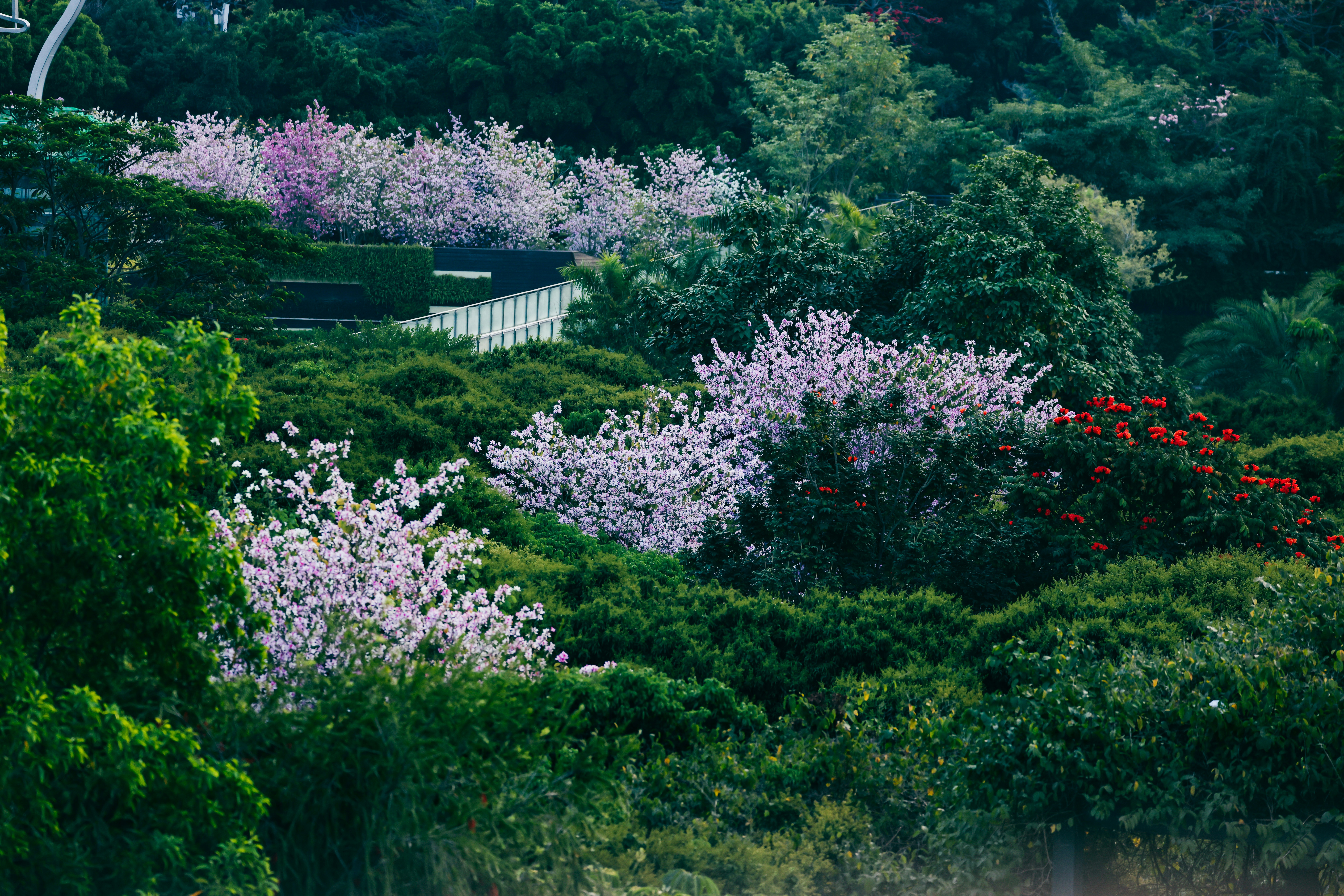 Photo by dickenslin76