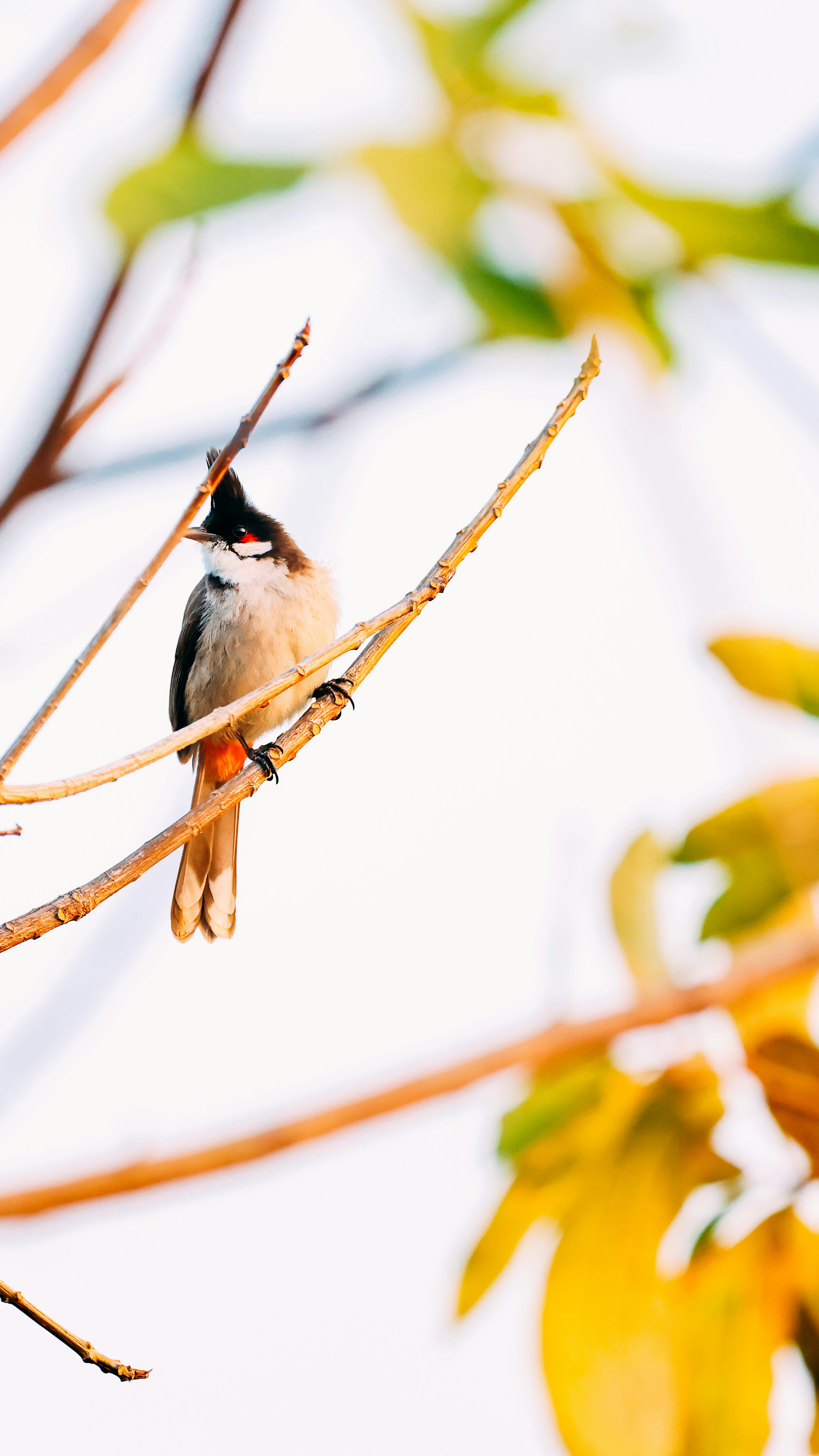 Photo by dickenslin76