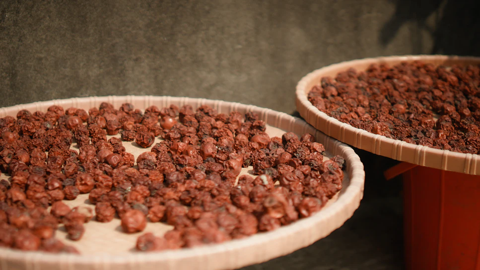 Close-up of fresh makhana seeds drying under natural sunlight on a rustic wooden tray.