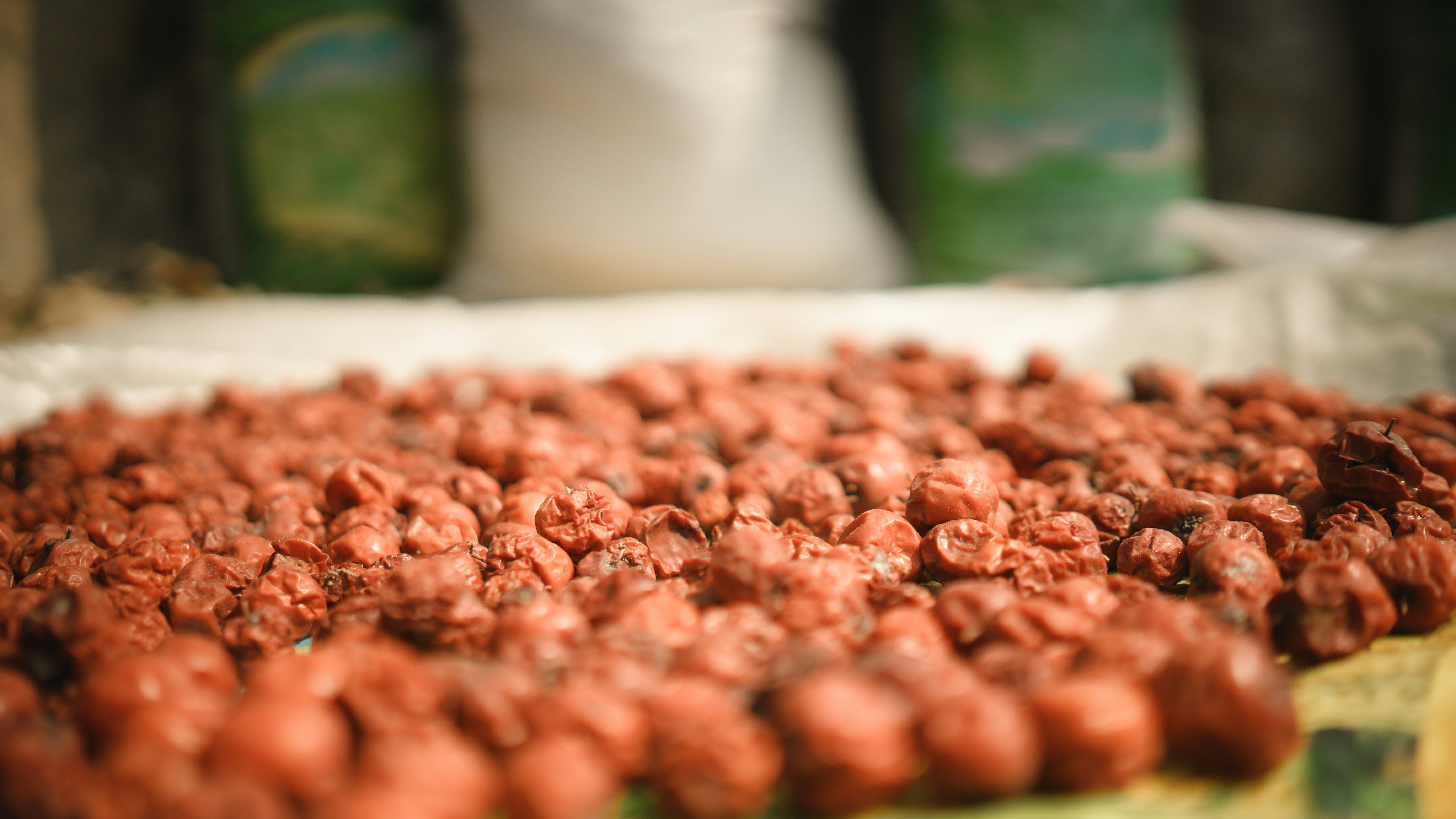 Photo by m_d_r_i_f_t