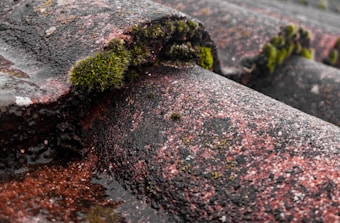 A close-up of a textured roof surface covered with patches of green moss and reddish-pink speckles. The surface appears rough, with visible grains and small details, highlighting the weathered and old nature of the material.
