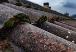 Close-up view of a weathered roof with moss growing on the curved edges of the tiles. The surface appears rough and slightly damp, with patches of green moss interspersed among the brown and gray hues of the roof.