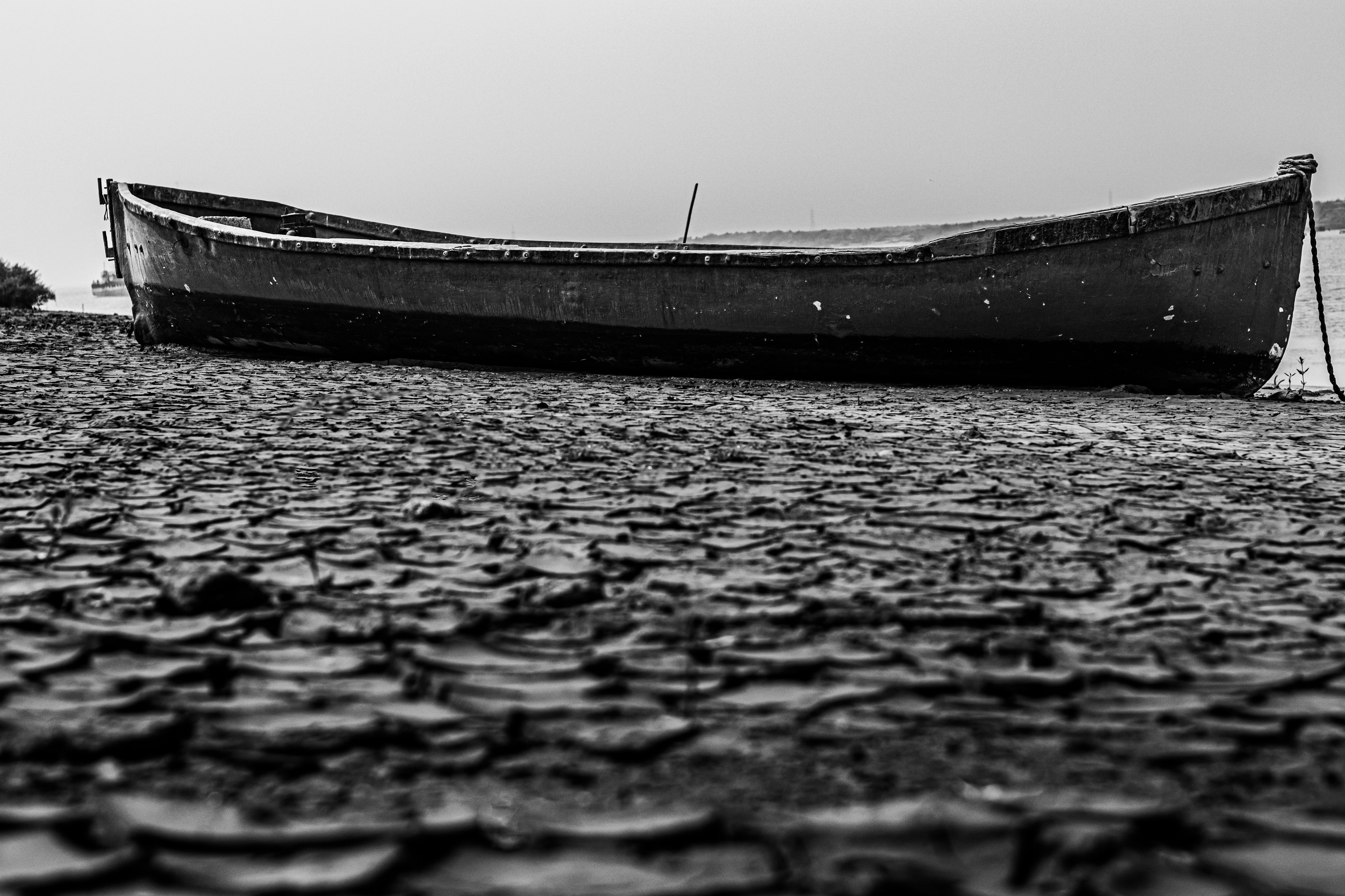 Photo by vdphotography